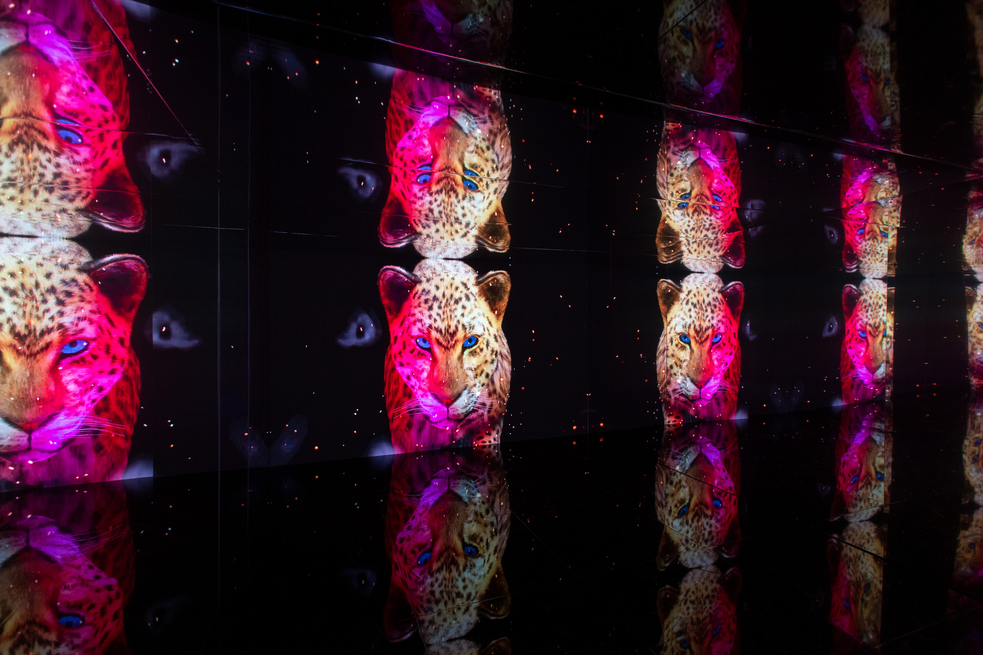 Art Exhibit
